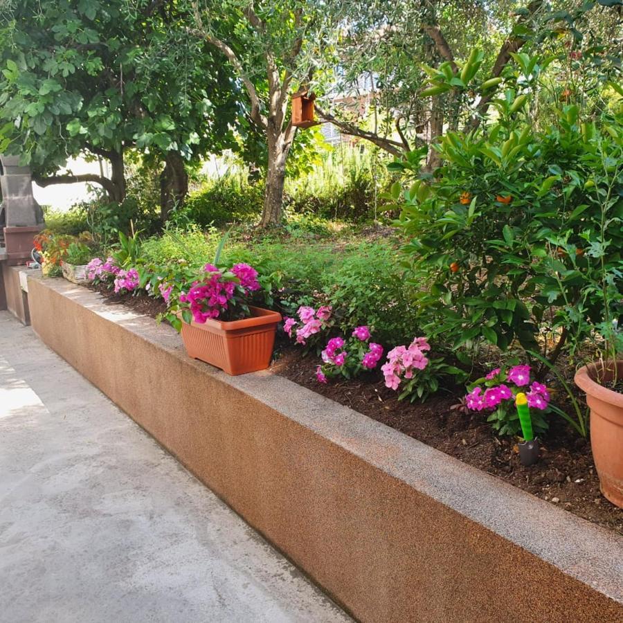 Apartma Lana21 Apartman Koper városi község Kültér fotó